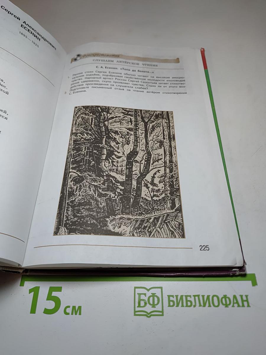 Литература. 7 класс. Часть 2