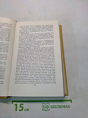 Странствия Персилеса и Сихизмунды. Том пятый