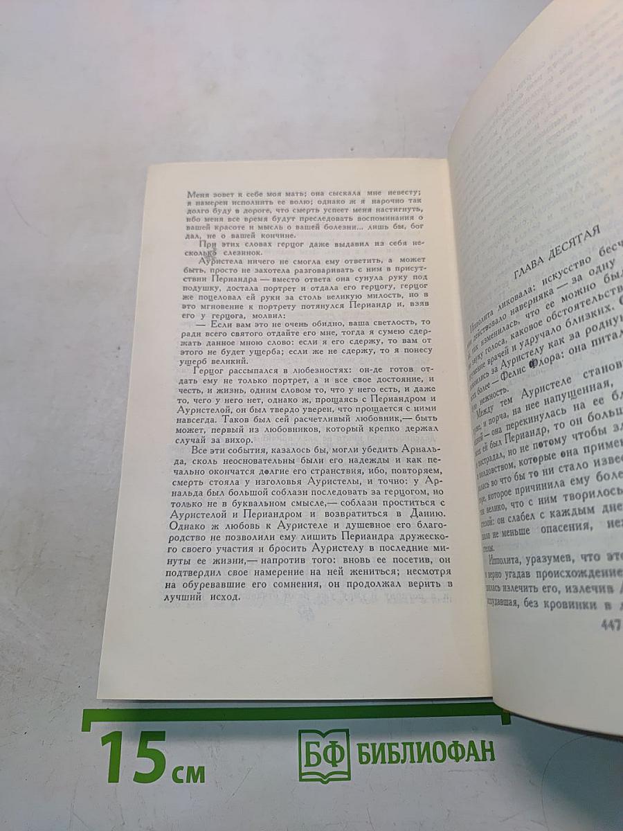 Странствия Персилеса и Сихизмунды. Том пятый