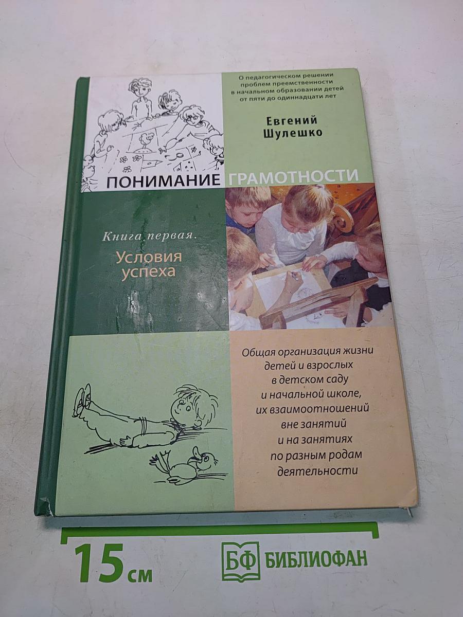 Понимание грамотности. Книга первая. Условия успеха
