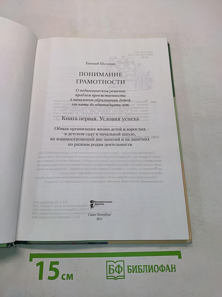 Понимание грамотности. Книга первая. Условия успеха