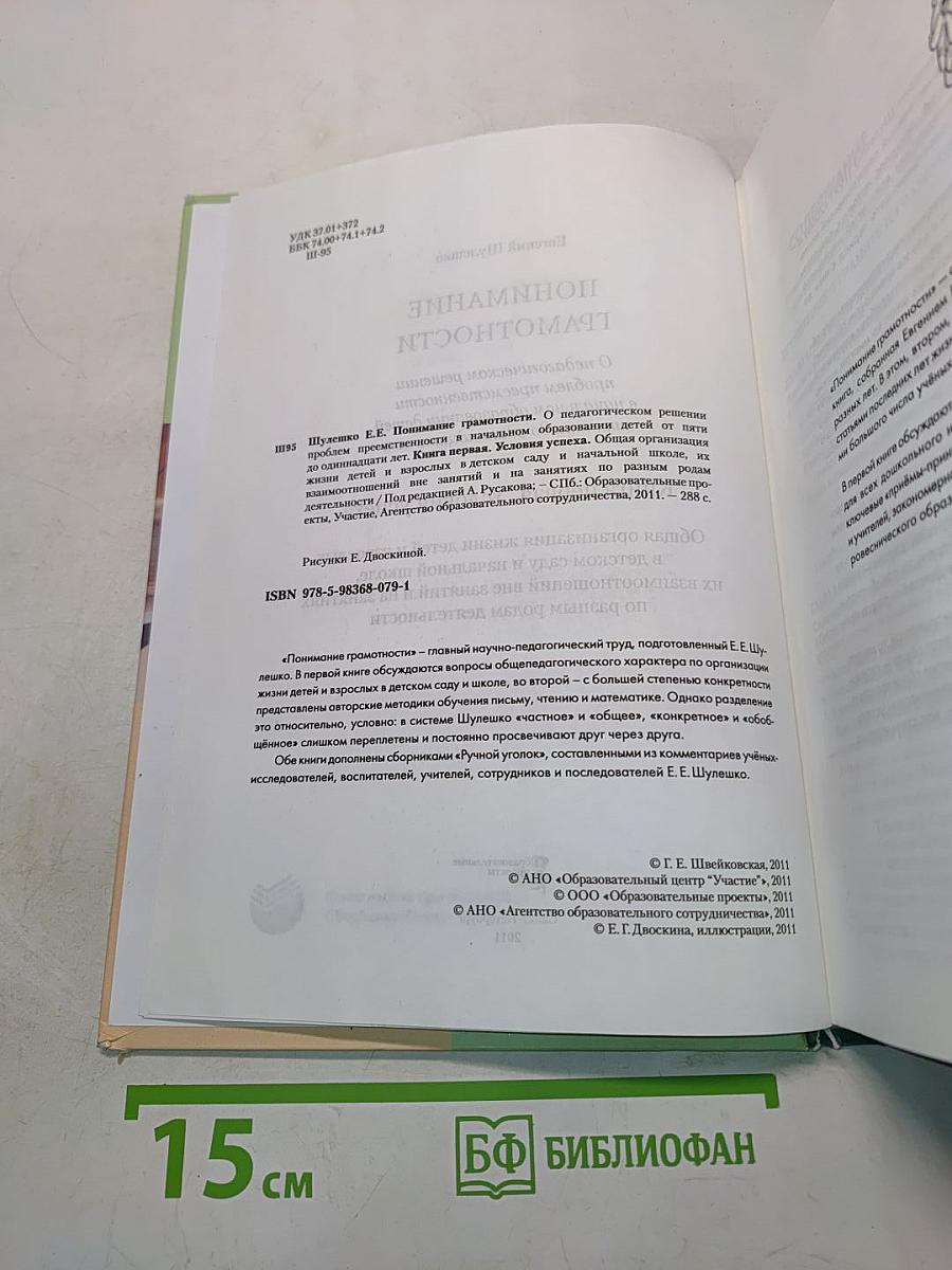 Понимание грамотности. Книга первая. Условия успеха
