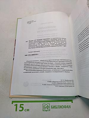 Понимание грамотности. Книга первая. Условия успеха
