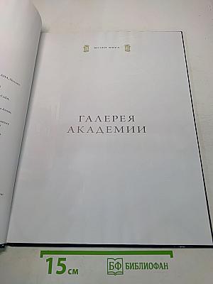 Галерея Академии