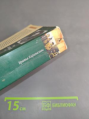 Братья Карамазовы