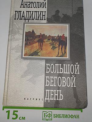Большой беговой день