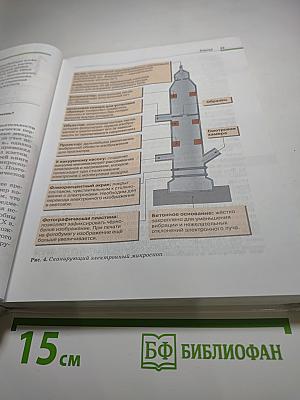 Биология. Общая биология. 10-11 классы