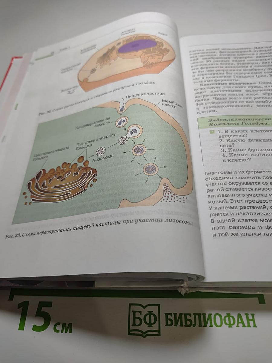 Биология. Общая биология. 10-11 классы
