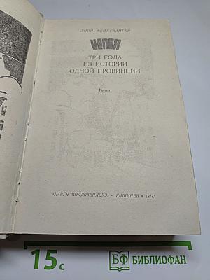 Успех. Три года из истории одной провинции