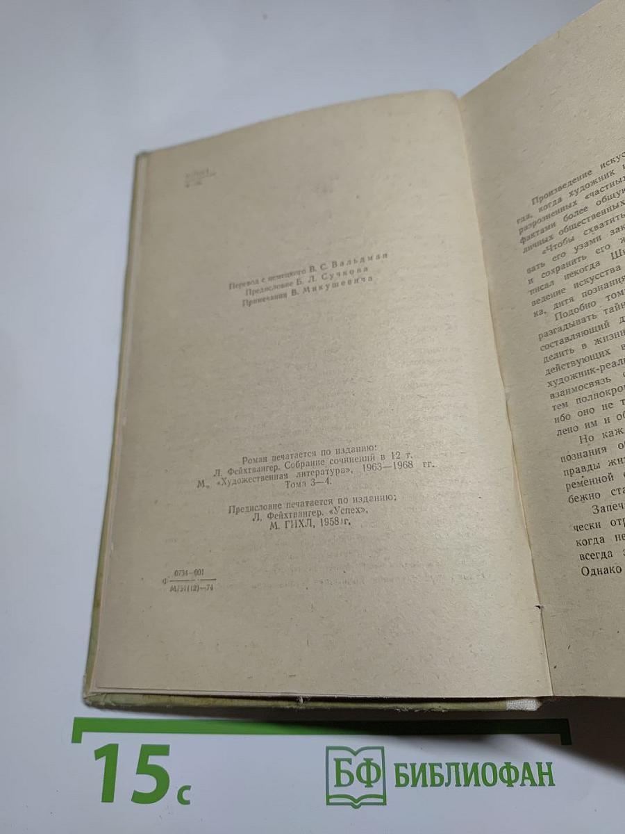 Успех. Три года из истории одной провинции