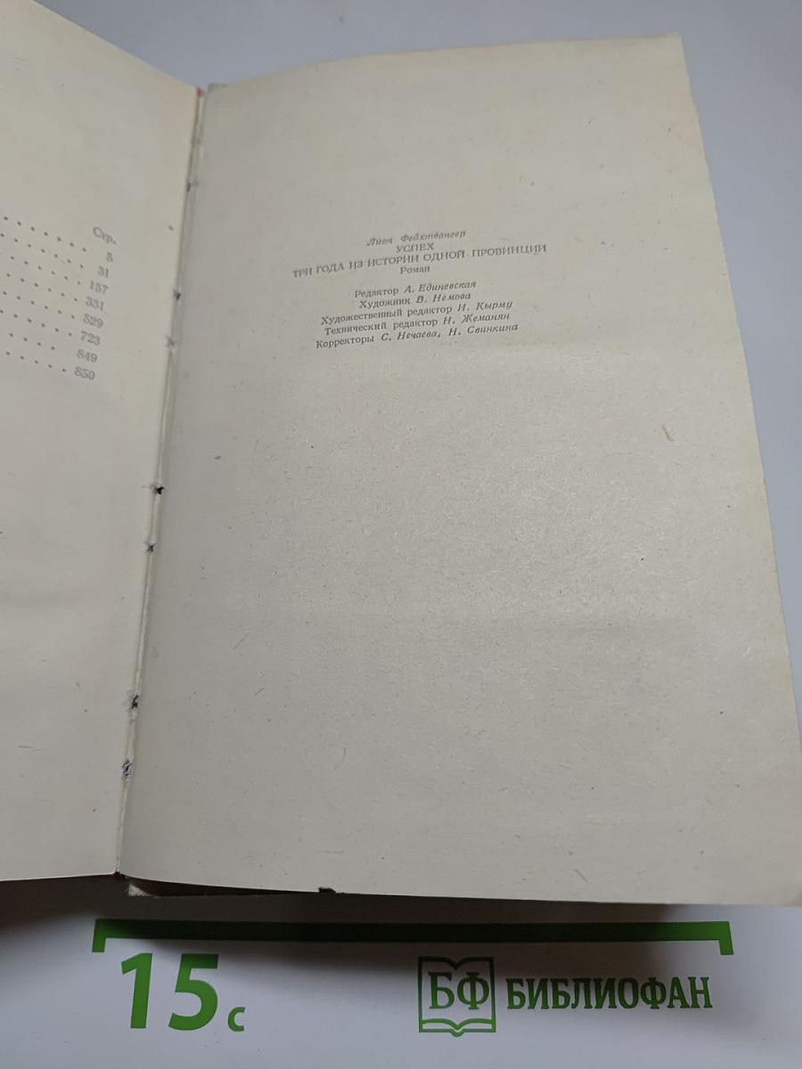 Успех. Три года из истории одной провинции
