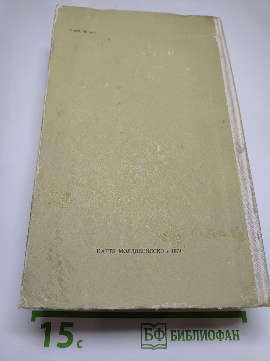 Успех. Три года из истории одной провинции