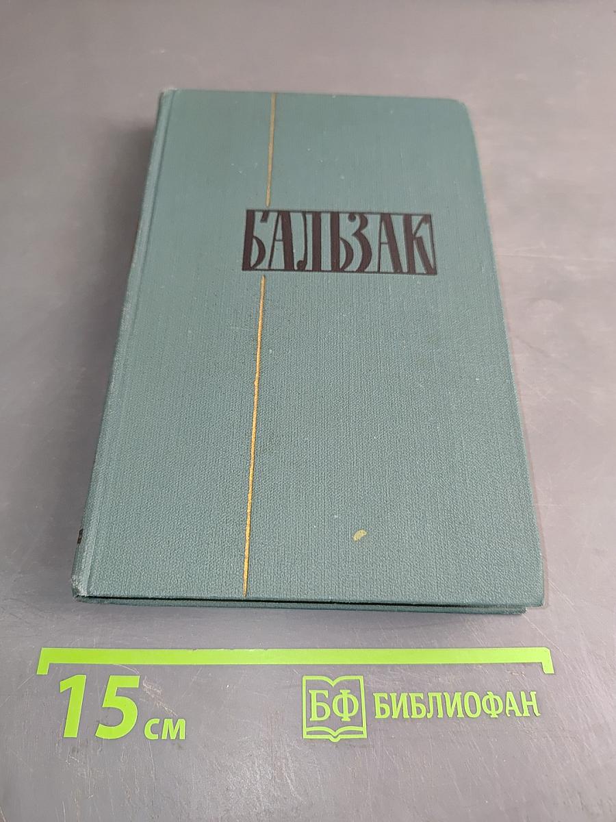 Человеческая комедия. Том 19
