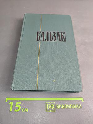 Человеческая комедия. Том 19