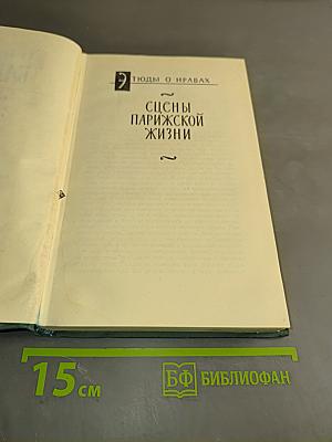 Сцены парижской жизни