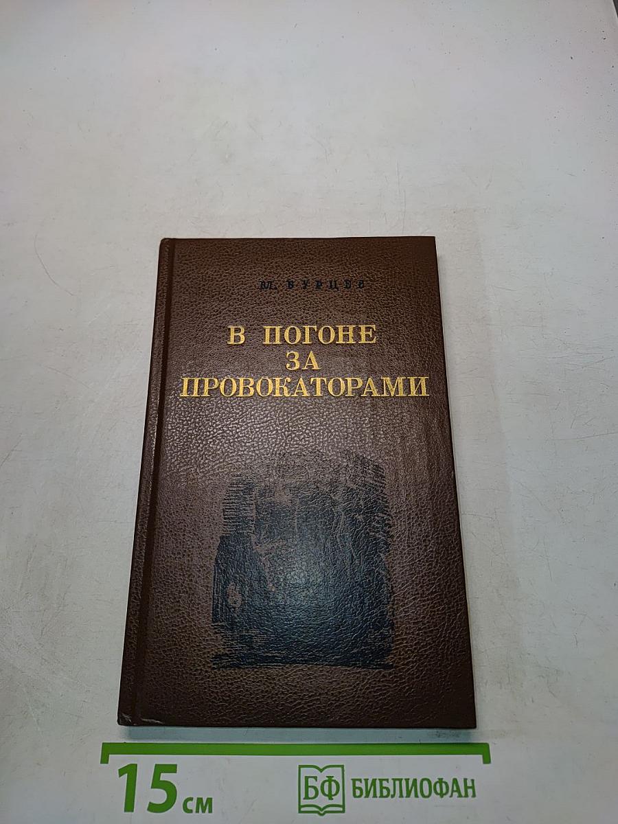 В погоне за провокаторами