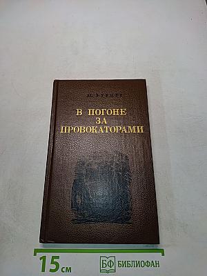 В погоне за провокаторами