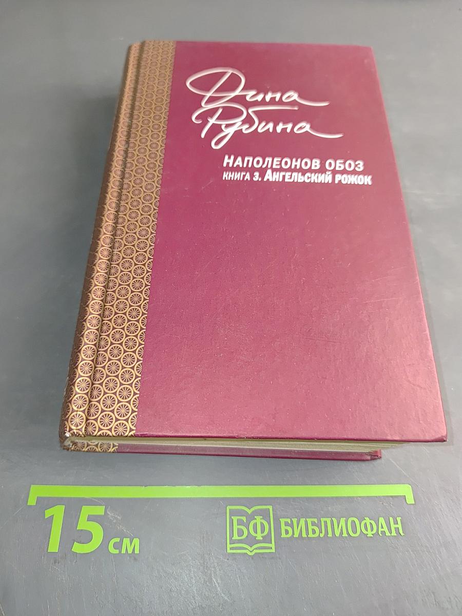 Наполеонов обоз. Книга 3. Ангельский рожок