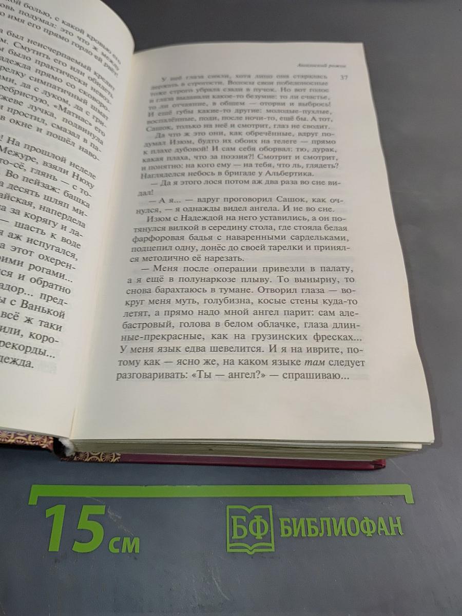Наполеонов обоз. Книга 3. Ангельский рожок