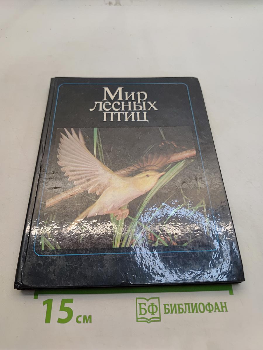 Мир лесных птиц