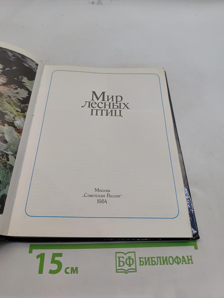 Мир лесных птиц