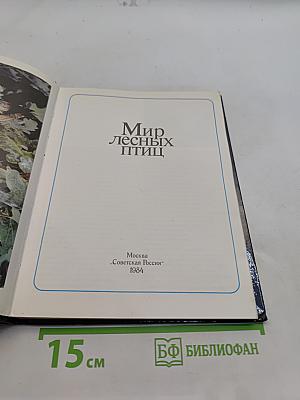 Мир лесных птиц