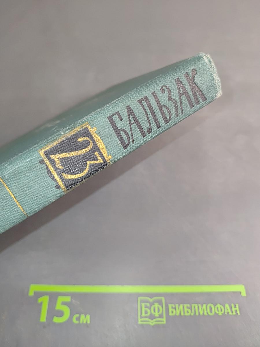 Балзак. Очерки. Том 23
