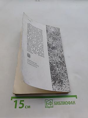 Больная Россия
