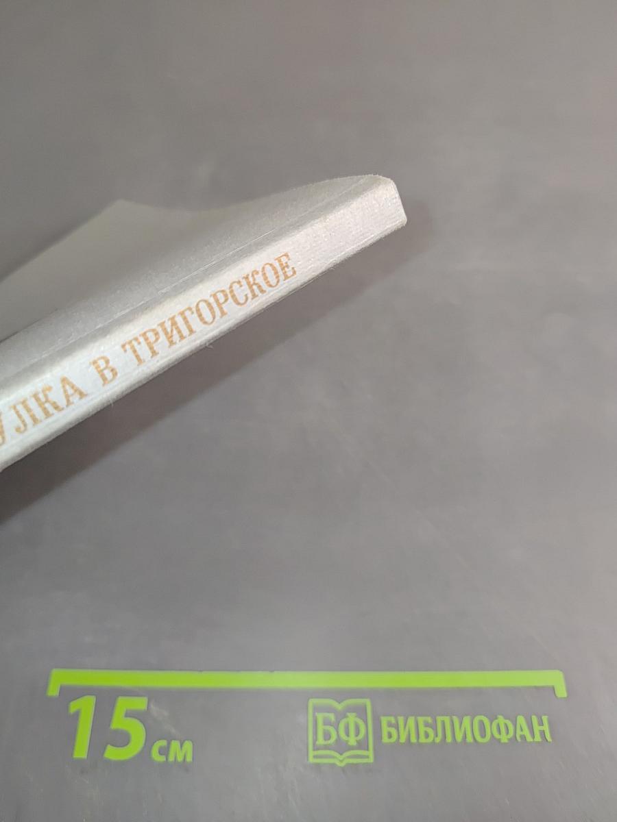 Прогулка в Тригорское
