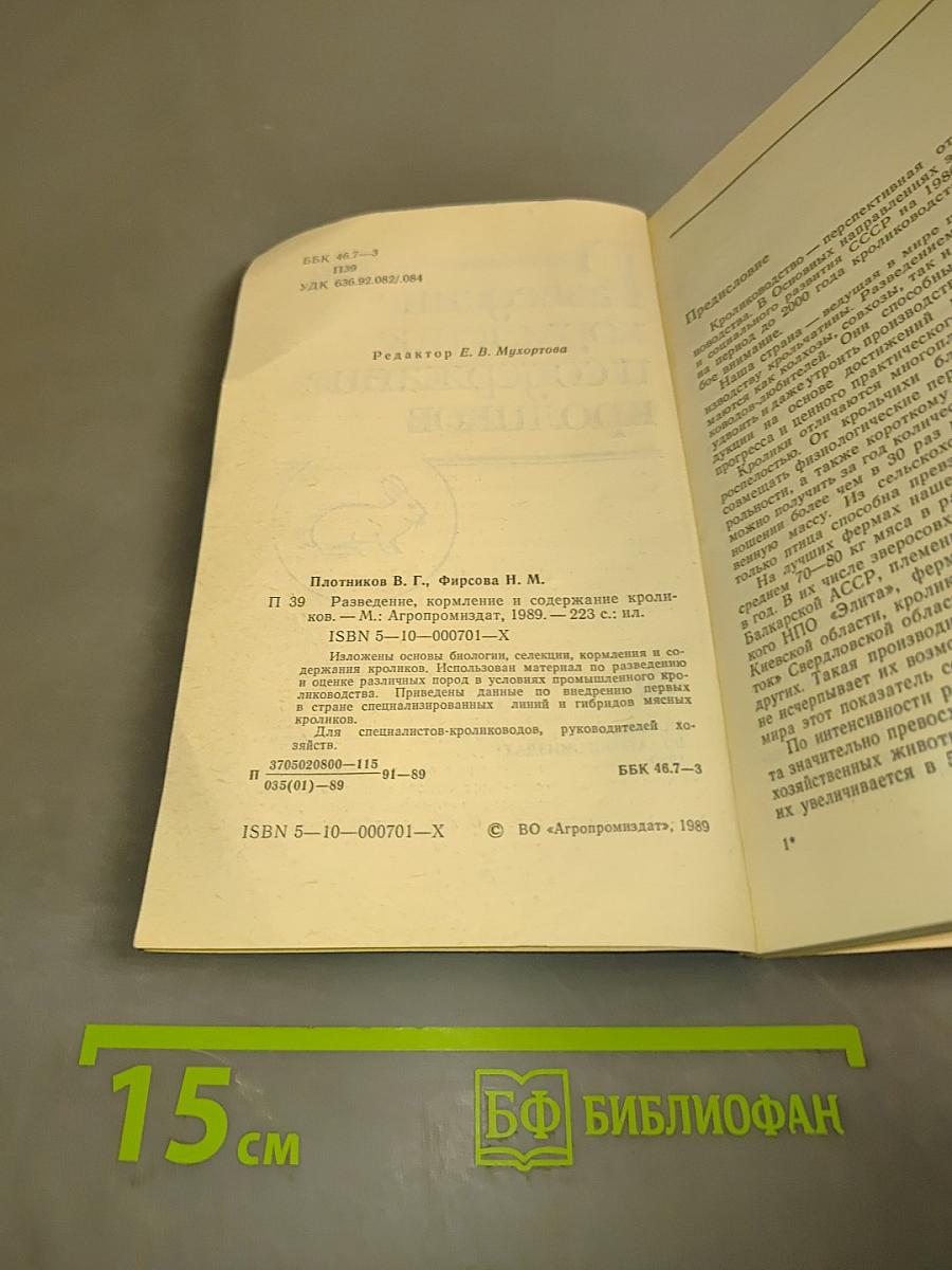 Разведение, кормление и содержание кроликов