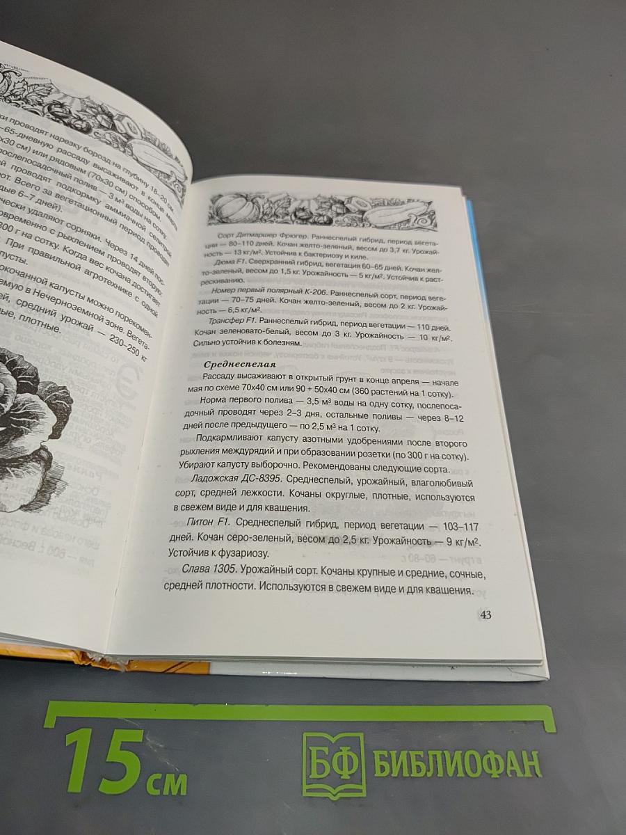 Чудо-огород. Богатый урожай соседям на зависть