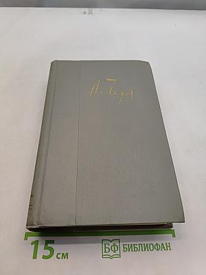 Собрание сочинений. Том одиннадцатый. Письма 1877-1892