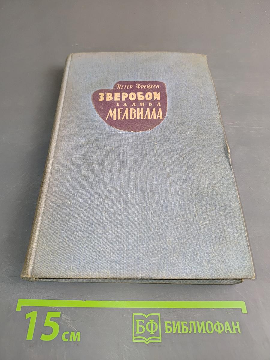 Зверобой. Залива. Мелвилла