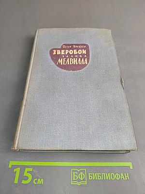 Зверобой. Залива. Мелвилла