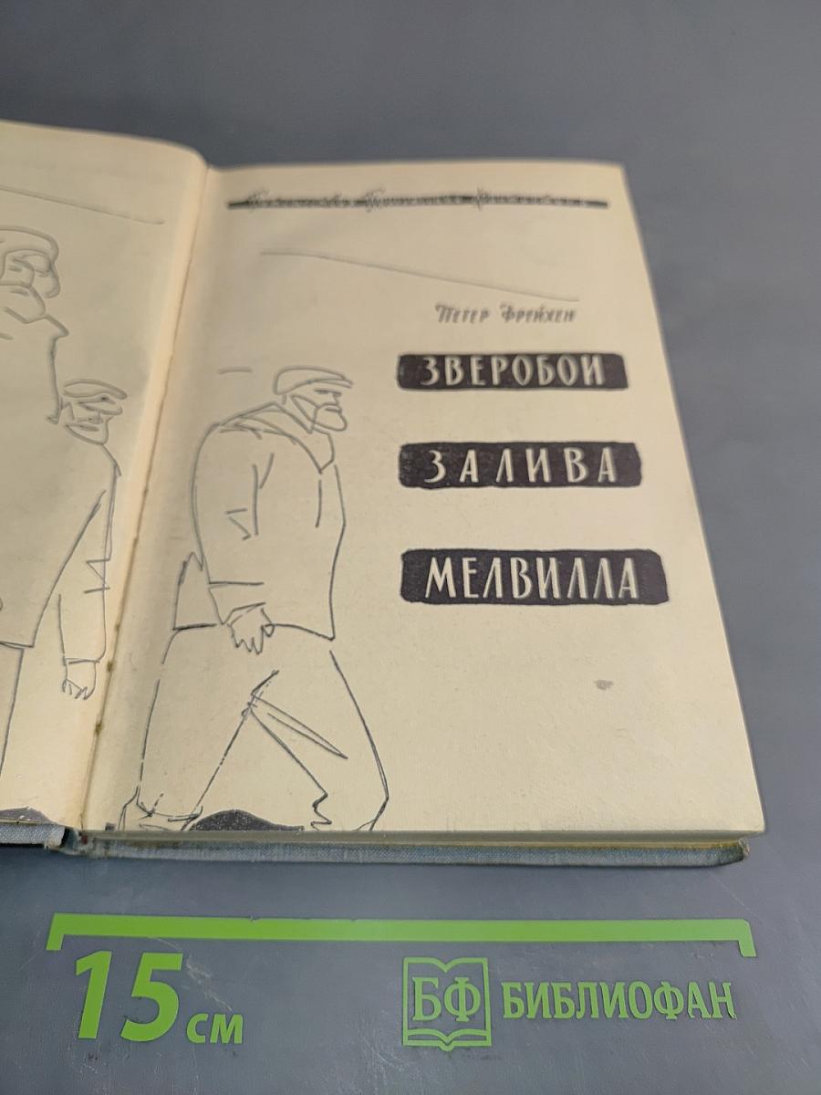 Зверобой. Залива. Мелвилла