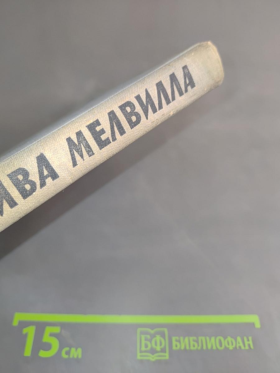 Зверобой. Залива. Мелвилла