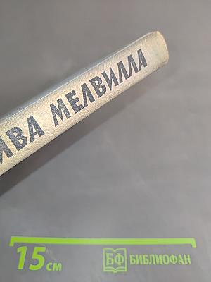 Зверобой. Залива. Мелвилла