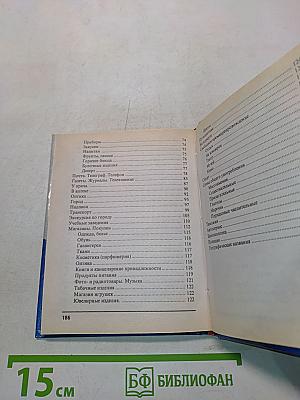 Русско-чешский разговорник