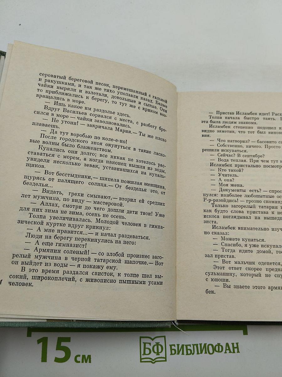 Главный университет. Повесть о Михаиле Васильеве-Южине