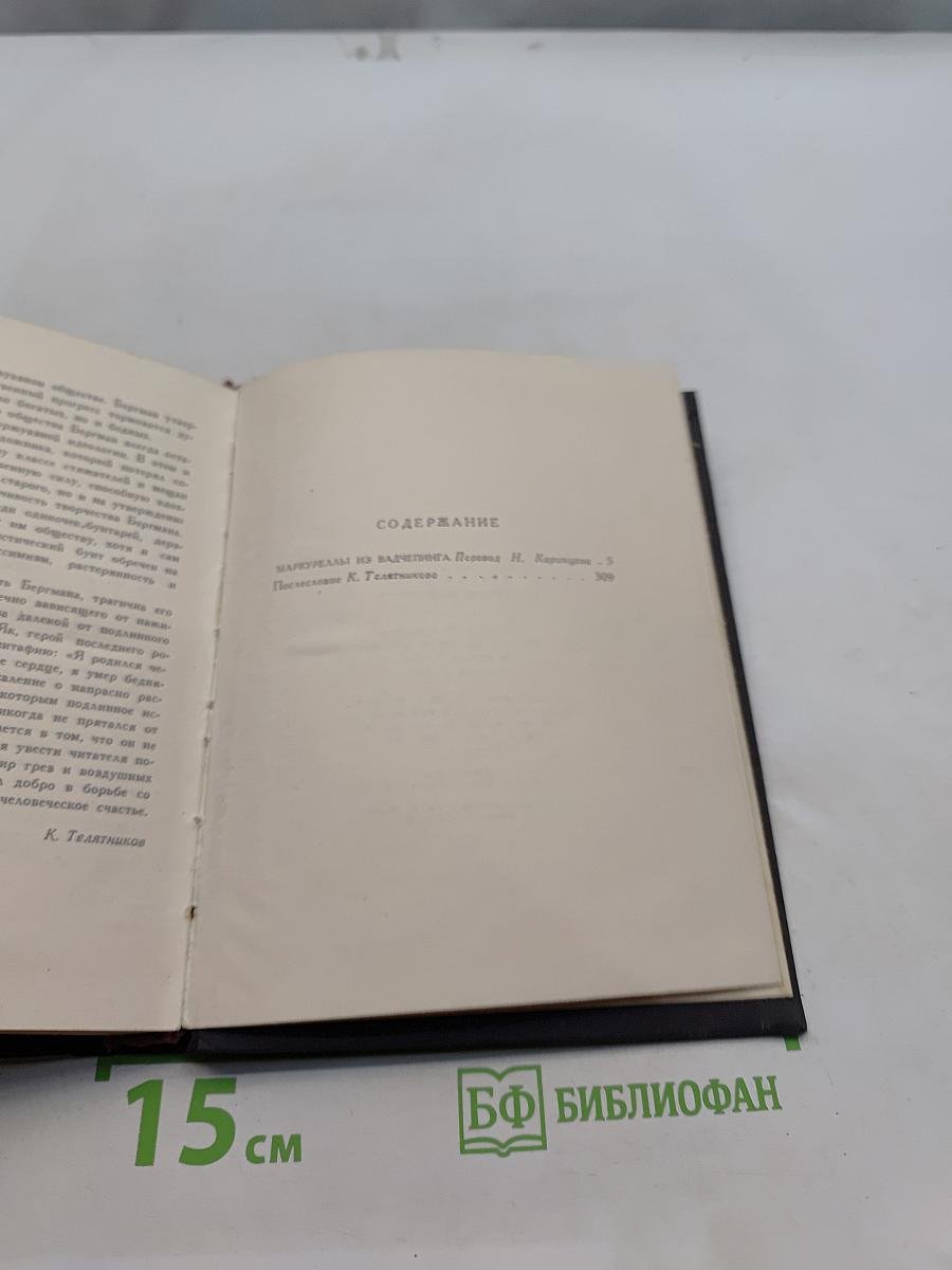 Янмар Бергман. Маршрудами из Вадченпинга