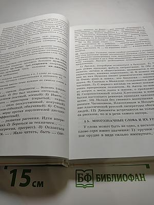 Русский язык 10-11 классы