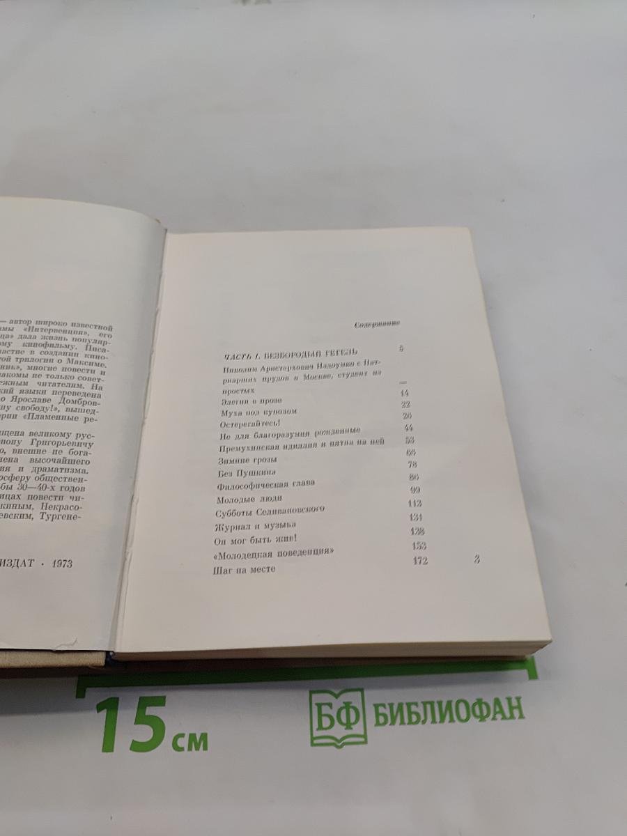 Неистовый. Повесть о Виссарионе Белинском