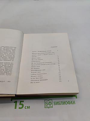 Неистовый. Повесть о Виссарионе Белинском