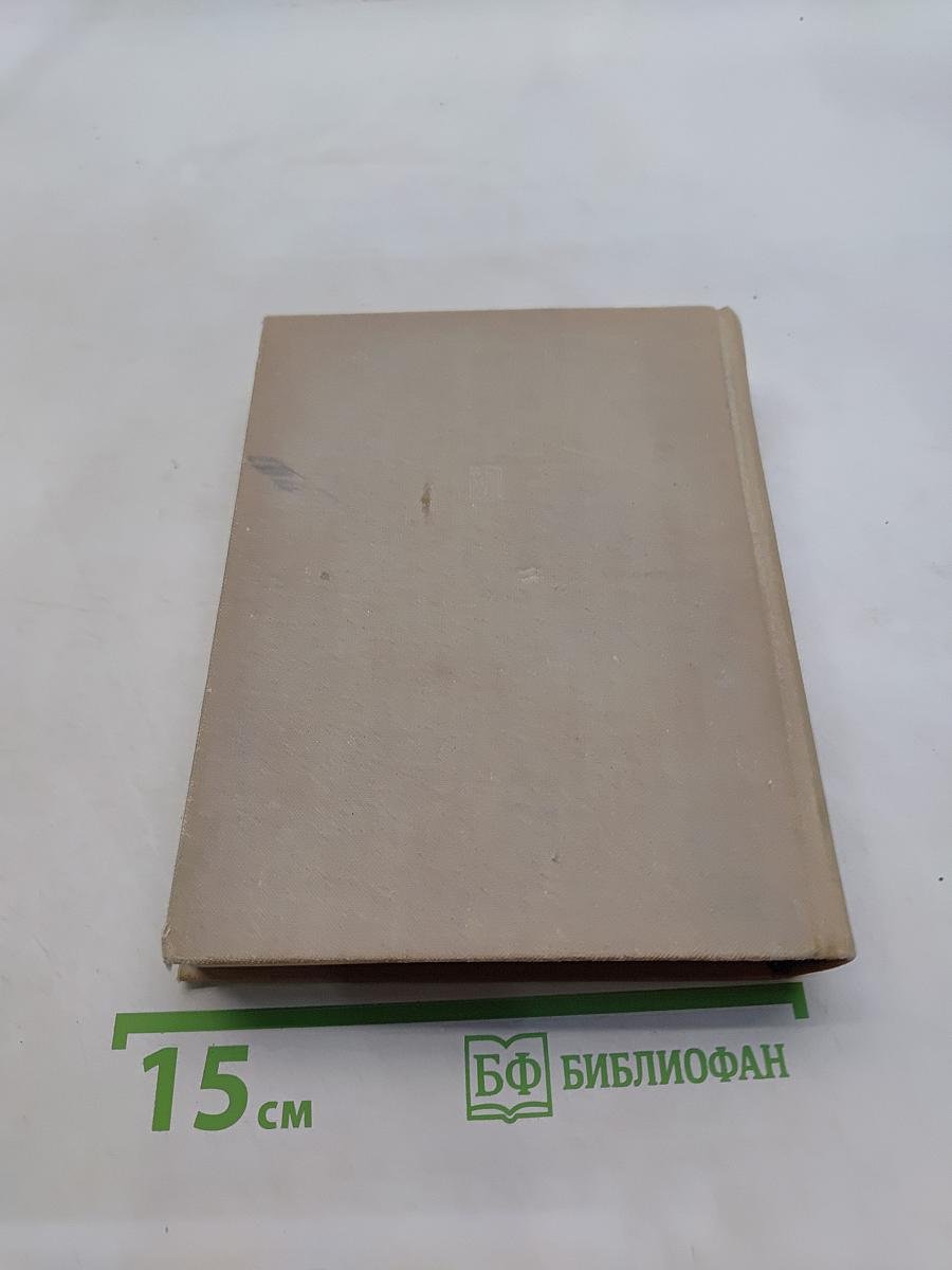 Неистовый. Повесть о Виссарионе Белинском