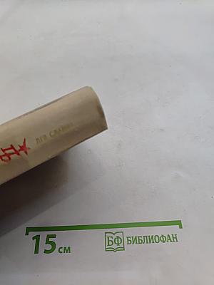 Неистовый. Повесть о Виссарионе Белинском