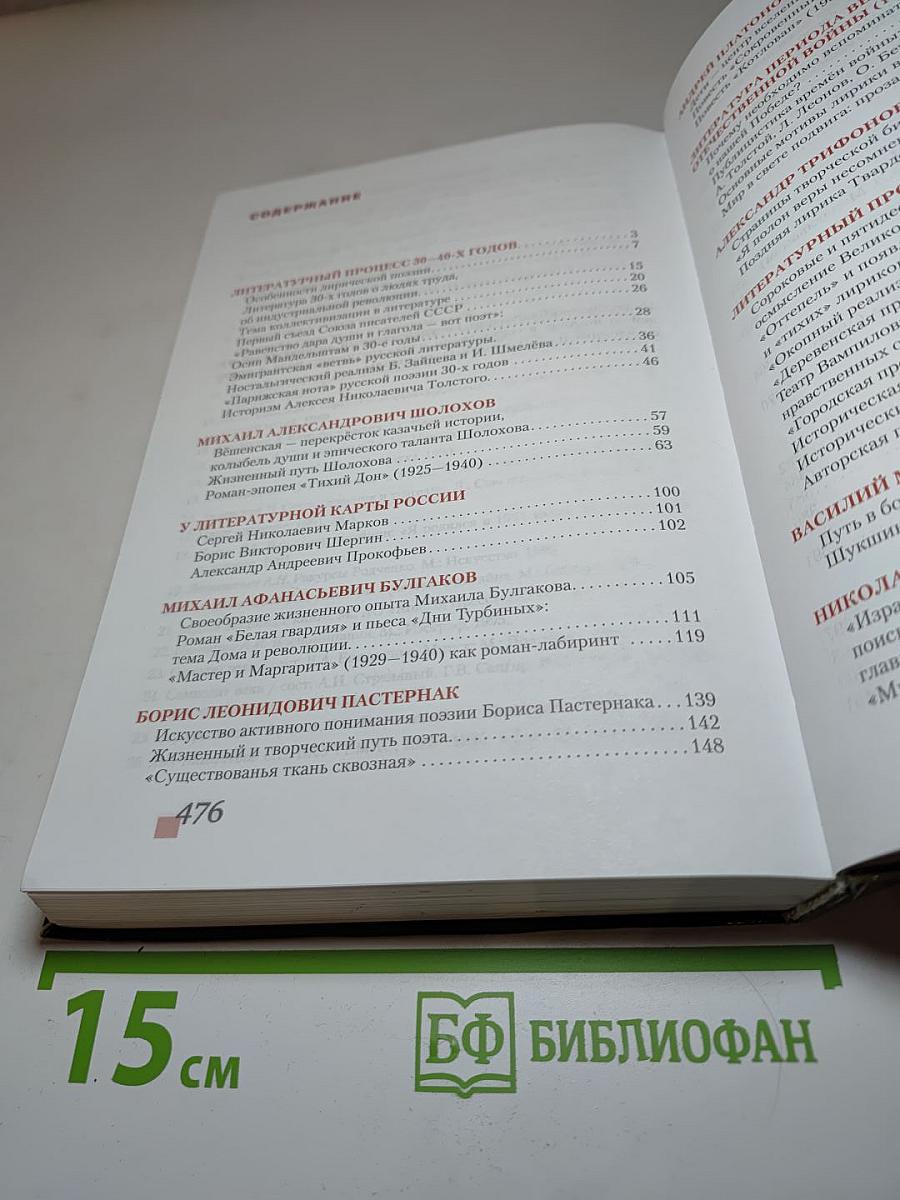 Литература. 11 класс. Часть 2. Базовый уровень. Учебник