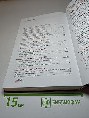 Литература. 11 класс. Часть 2. Базовый уровень. Учебник