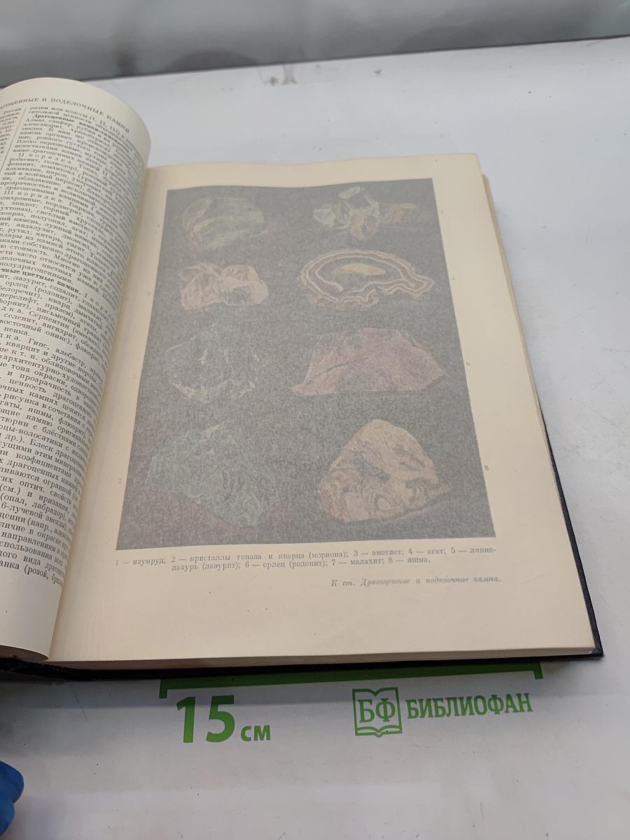 Большая Советская Энциклопедия. Том 15. Докеры – Железняков