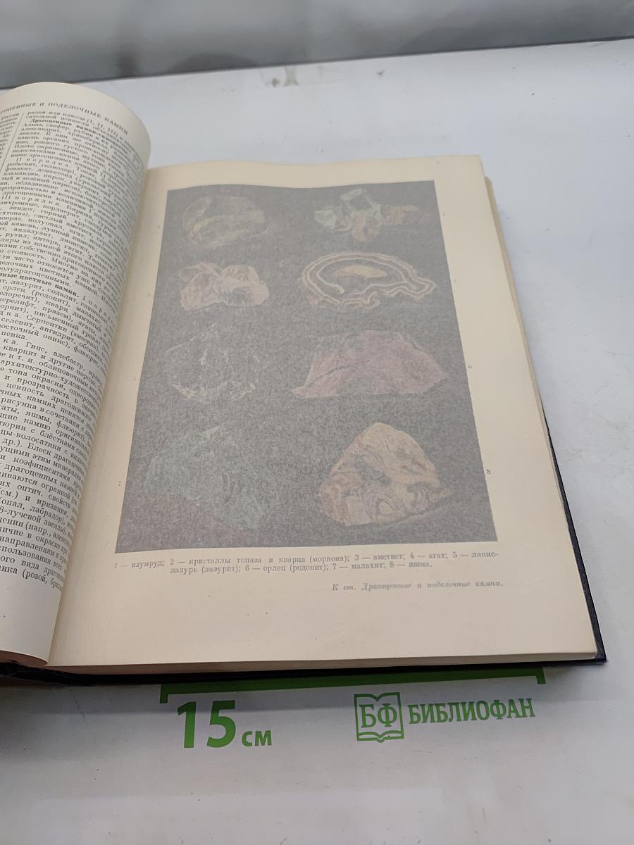 Большая Советская Энциклопедия. Том 15. Докеры – Железняков