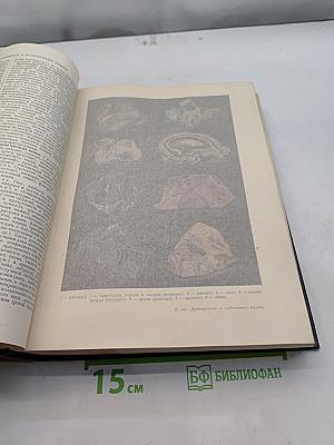 Большая Советская Энциклопедия. Том 15. Докеры – Железняков